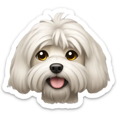 The maltipu dog sticker