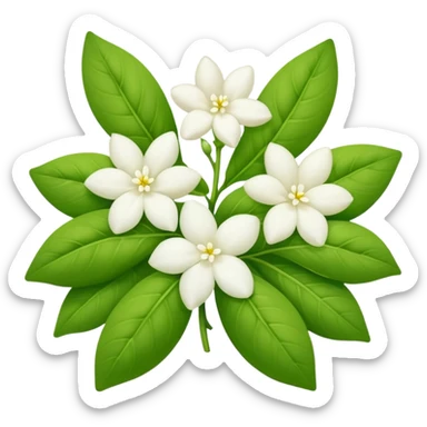 gajra with white jasmine flowers and green leaves, simple and clear, apple emoji style sticker