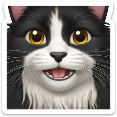 Black long haired cat chewing on string sticker