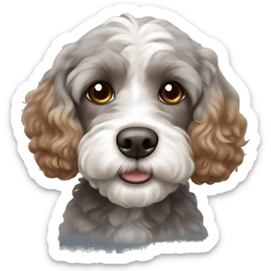 Grey and white cute cavapoo with brown eyes and brown hair around the nose sticker