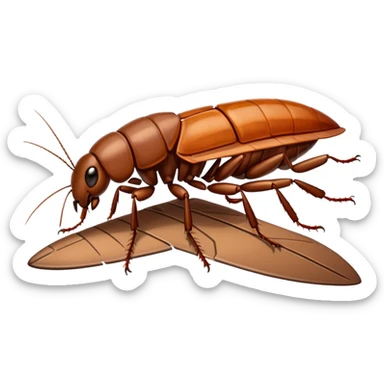 cockroach on plane  sticker