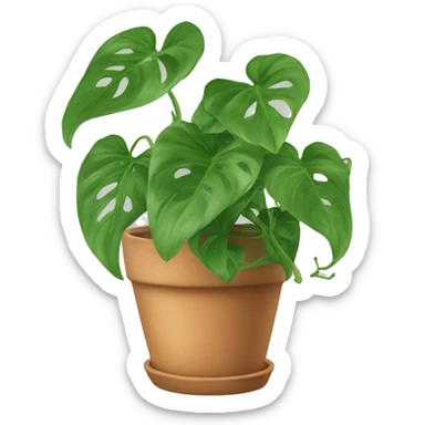 Pothos plant in a teracotta pot sticker