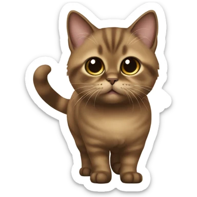 Brown munchkin cat standing sticker