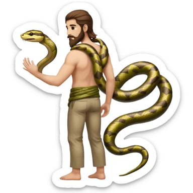 full body man long brown hair brown eyes medium beard white skin seen from behind, snake wrapped around arm and back sticker