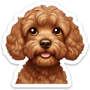 brown cavapoo with no spots with brown eyes sticker