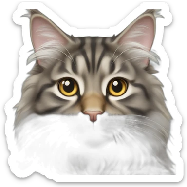 maine coon cat with golden face and white front paws sticker
