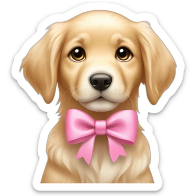 English cream Golden retriever puppy wearing pink hair bow sticker