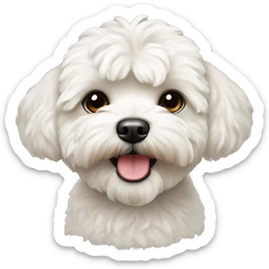 white maltipoo sticker