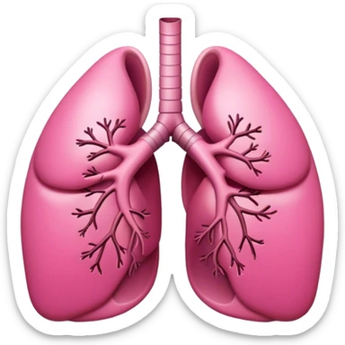 lungs  sticker