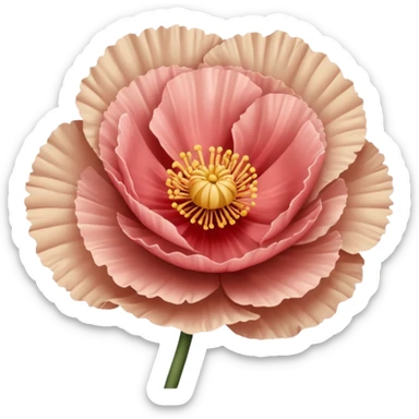Carnation poppy beige light rose sticker