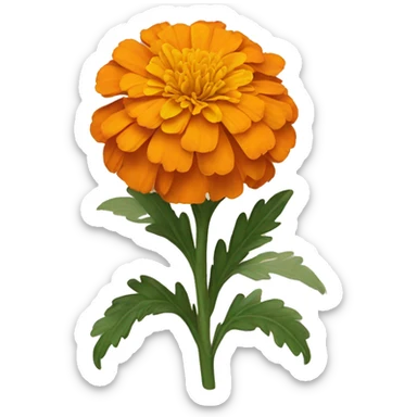 Orange marigold sticker