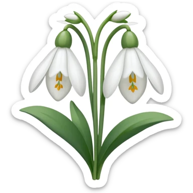 snowdrop, two blossoms, simple sticker