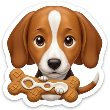beagle dachshund mix with a treat sticker