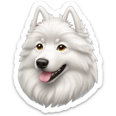 Samoyedo sticker