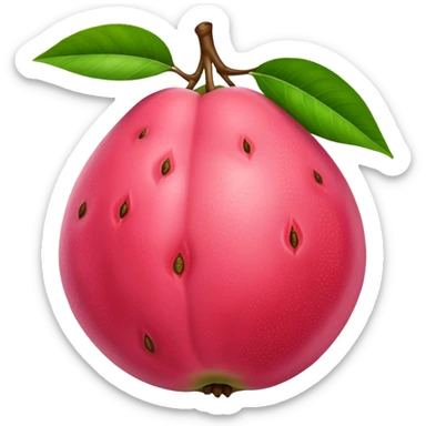 guava fruit, tropical fruit with pink flesh sticker