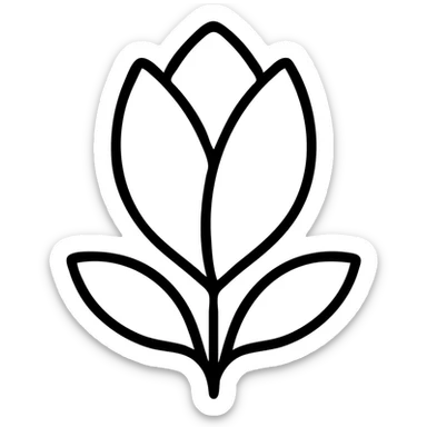 minimalist top-down view of a magnolia flower bud with soft white petals, fully visible against a plain white background, no extra details sticker