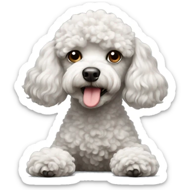Small poodle laying down sticker