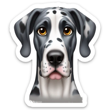 Harlequin Great dane with blue eyes sticker