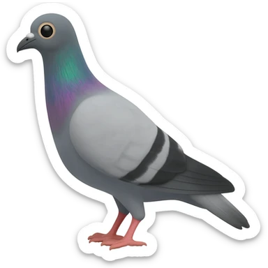 Pigeon sticker