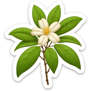 wilted indian jasmine in emoji format sticker
