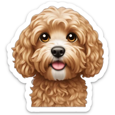 Cavapoo soba sticker