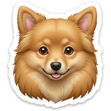 dog that is a pomeranian and golden retriever mix, with one floppy ear and one pointy ear sticker