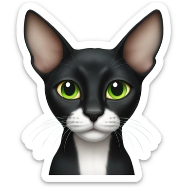  green eyed sphinx black cat with white spot on the nose sticker