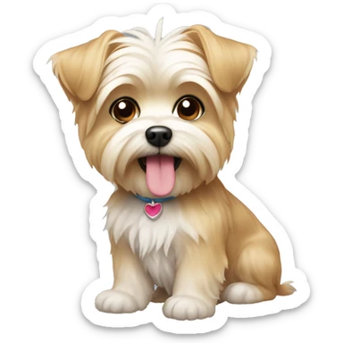 Cute morkie sticker