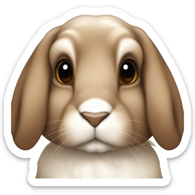 brown holland lop bunny (portrait, facing forward, iOS 17 style, happy) sticker