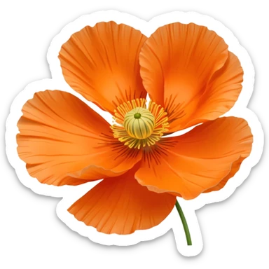 icelandic poppy sticker