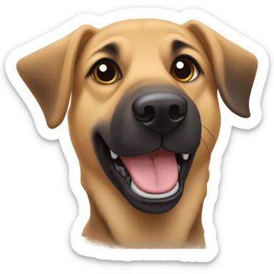 German shepherd Labrador mix with floppy ears sticker