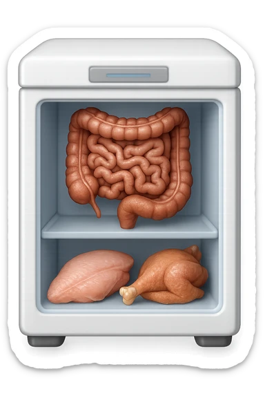 emoji stile iphone DI UN CONGELATORE CON INTESTINO realistico DENTRO INSIEME A PORZIONI DI POLLO E TACCHINO, iperrealistico 4k sticker