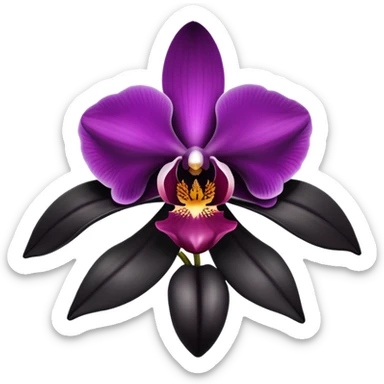 black orchid  sticker