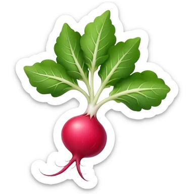 Forage Radish sticker