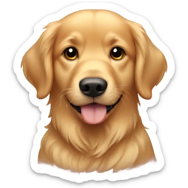 Golden retriever  sticker