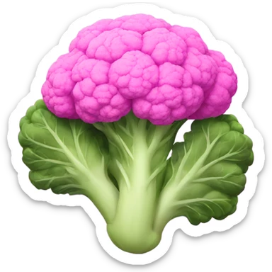pink cauliflower looking in mirror sticker