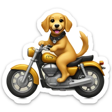 Golden retriever riding motorcycle  sticker