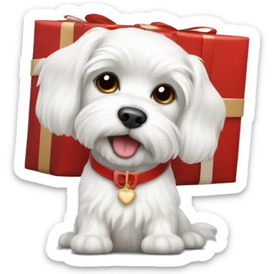  white maltese dog and red gift sticker