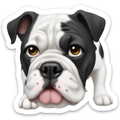 Black and white English bulldog  sticker