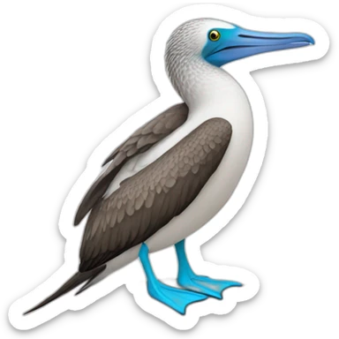 blue footed boobie sticker