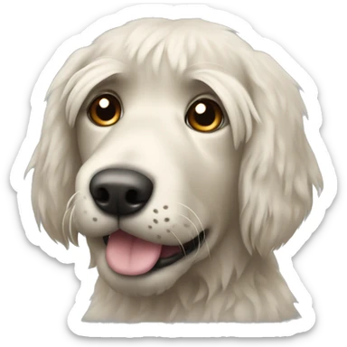 shaggy dog similar to labrador with sticking out hair sticker