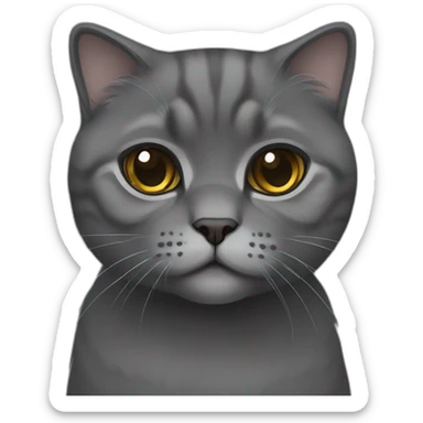 Dark Grey Scottish fold cat sticker