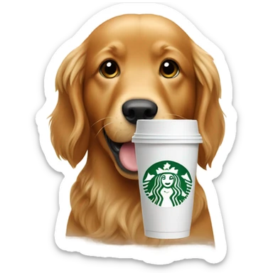 Red Golden retriever with starbucks sticker