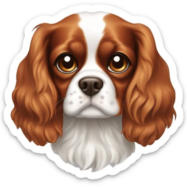 Cavalier King Charles Spaniel Blenheim with brown eyes  sticker