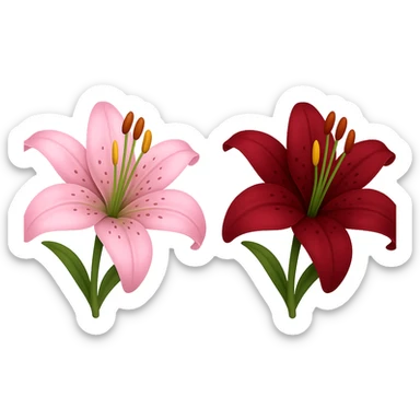 Create two versions of a lily flower: one pink and one maroon, in the style of apple emojis. The style is emoji-like with no background. sticker