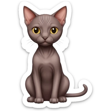 Dark hairless cat sitting sticker