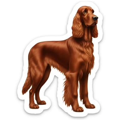 Irish setter standing full pose sticker