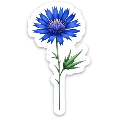 single blue Cornflower, straight stem sticker