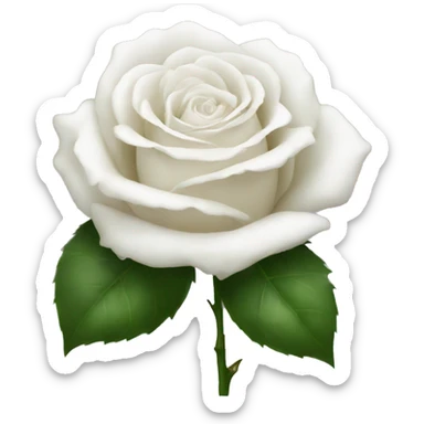 White rose  sticker