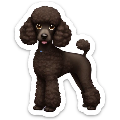 Dark brown poodle sticker